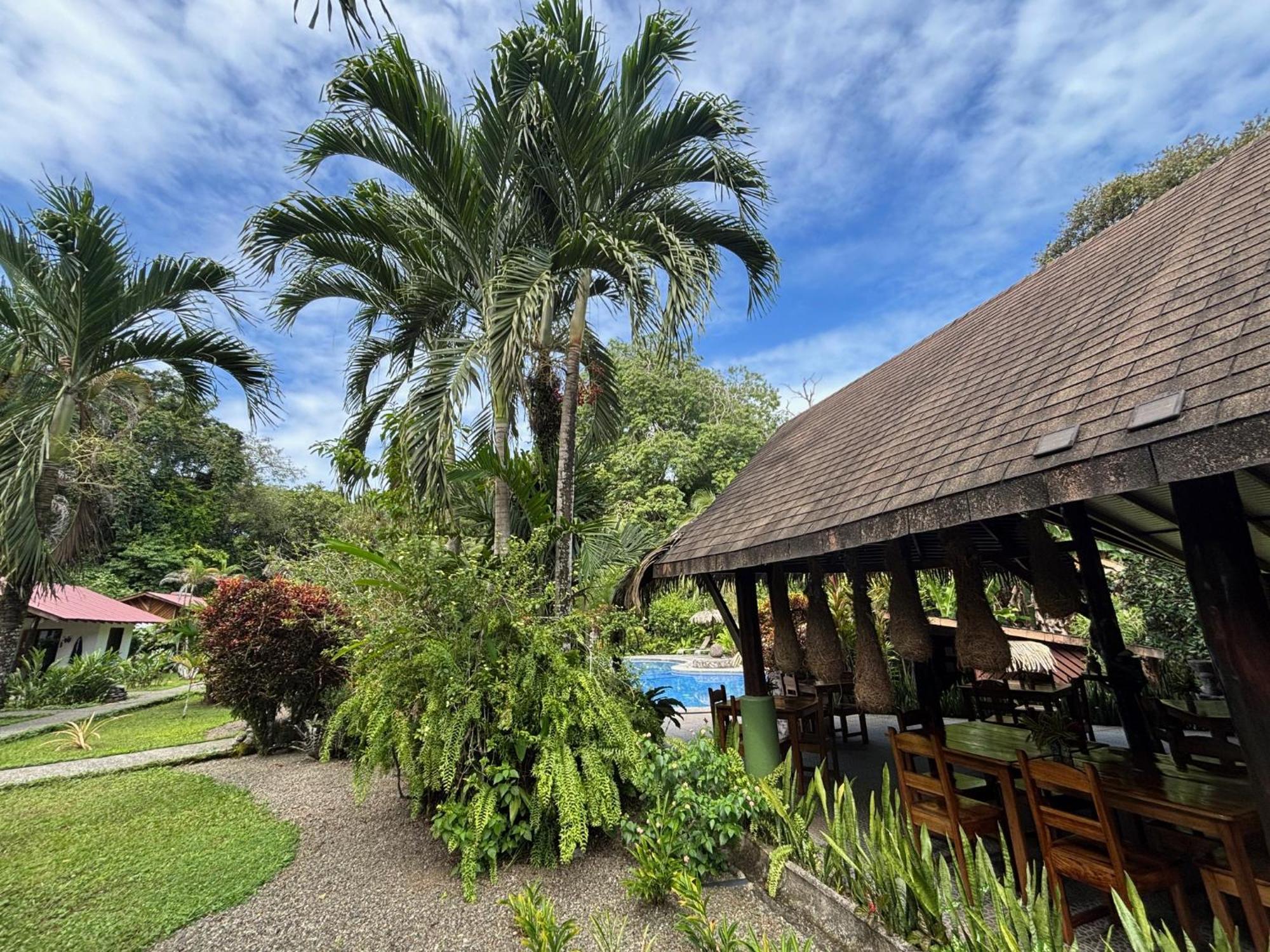 Hotel Suizo Loco Lodge & Resort Cahuita Exterior photo