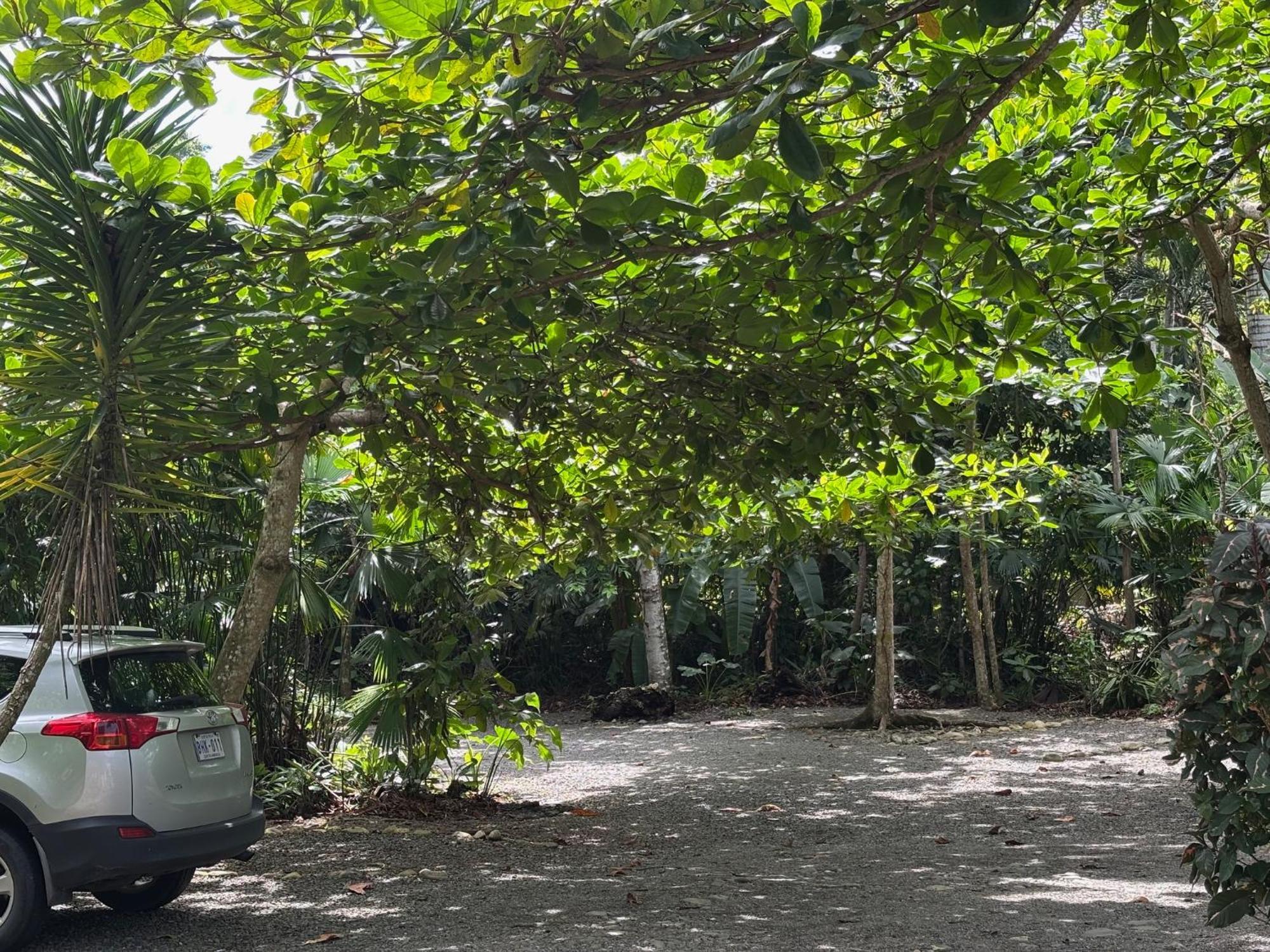 Hotel Suizo Loco Lodge & Resort Cahuita Exterior photo