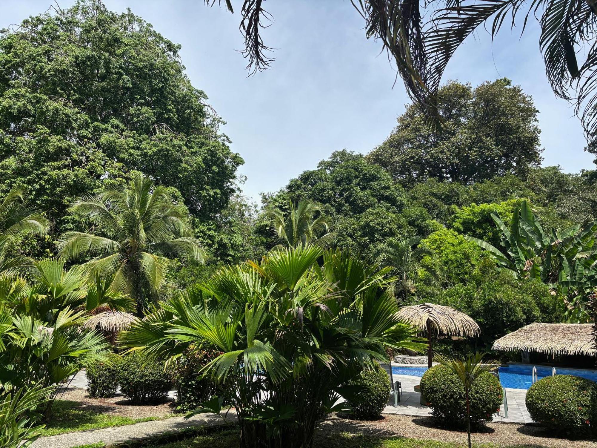 Hotel Suizo Loco Lodge & Resort Cahuita Exterior photo