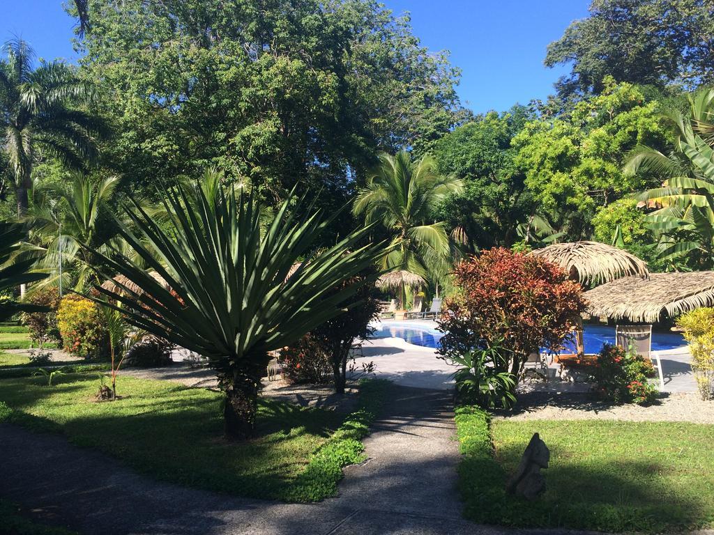 Hotel Suizo Loco Lodge & Resort Cahuita Room photo